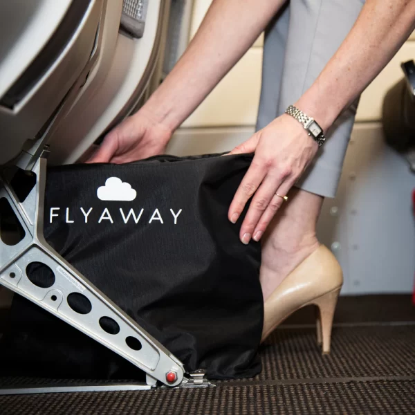 Flyaway Kids Bed