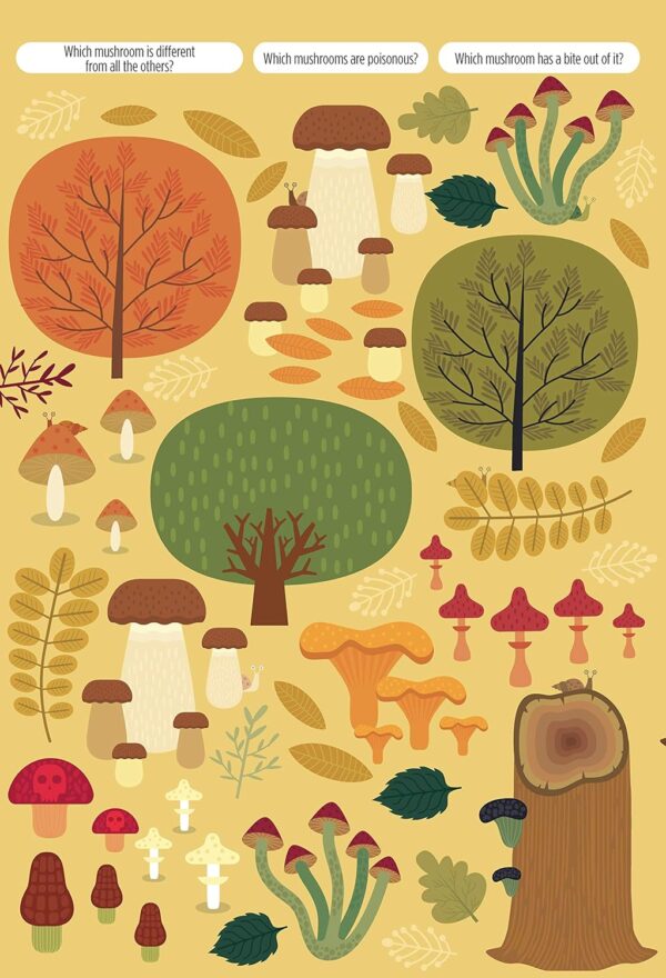 Find Me! Adventures in the Forest