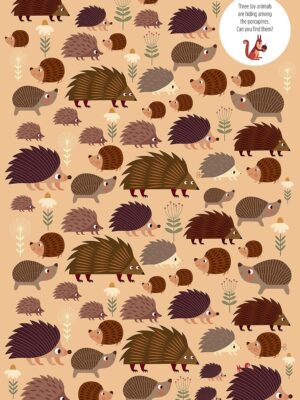 fox-publishing_find-me_forest4