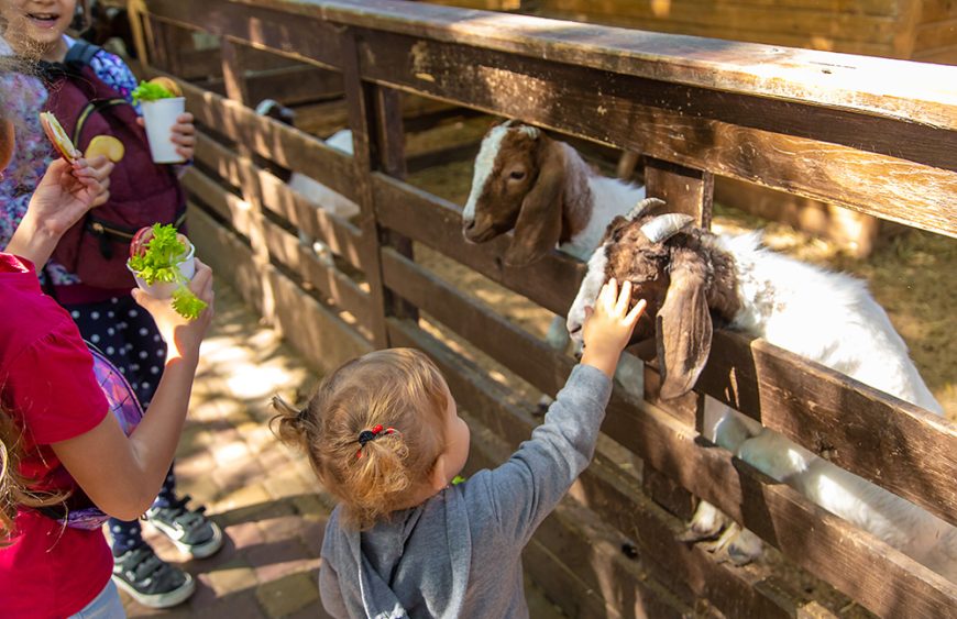 Hagenbeck_Tierpark_ (2)