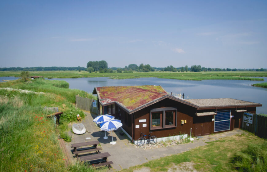 NABU-Vogelstation-wedeler (4)