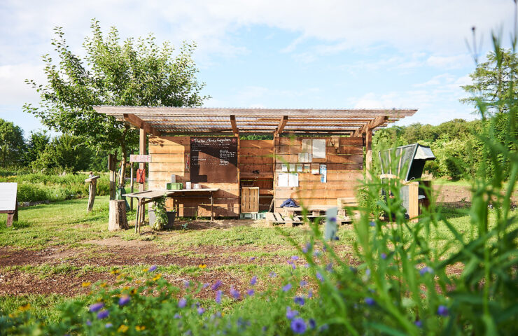 Projekt-vielfalt_press (2)