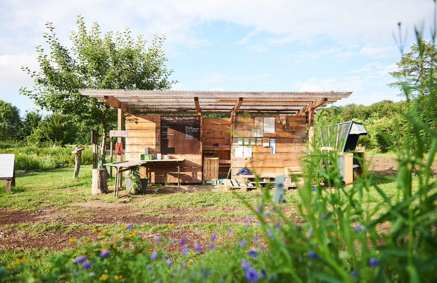 Projekt-vielfalt_press (2)