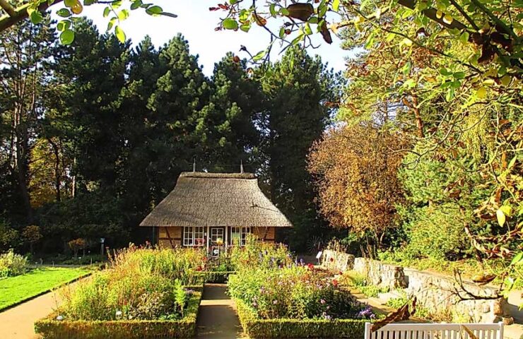 botanischer-garten-loki-schmidt-freie-nutzung
