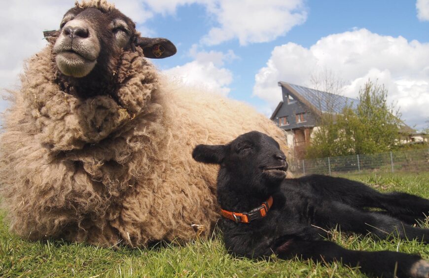 gut-karlshohe_presse (2)