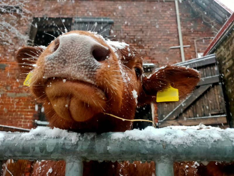 gut-wulfsdorf_press15