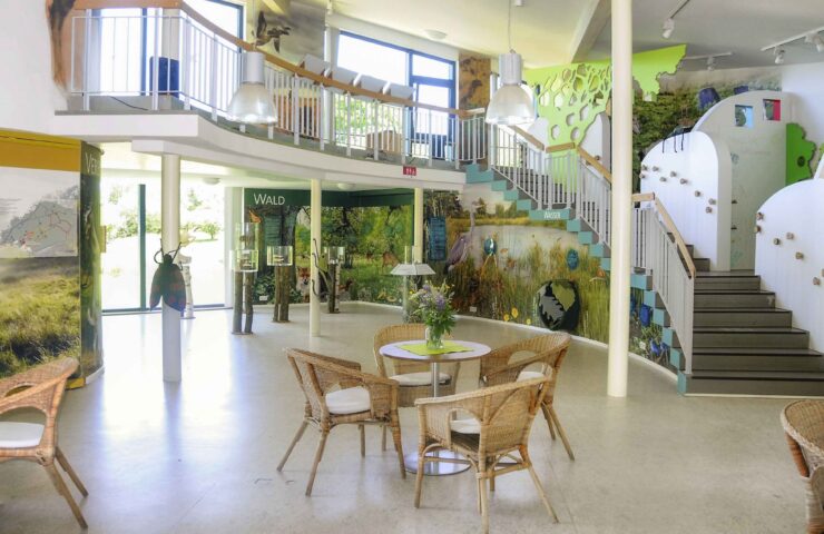 haus-der-wilden-weiden_press (1)