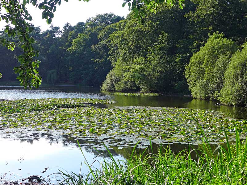 wildgehege-knovensteen (1)