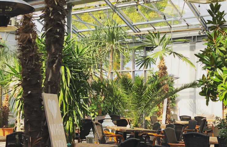 palmen-cafe-hasloh (1)