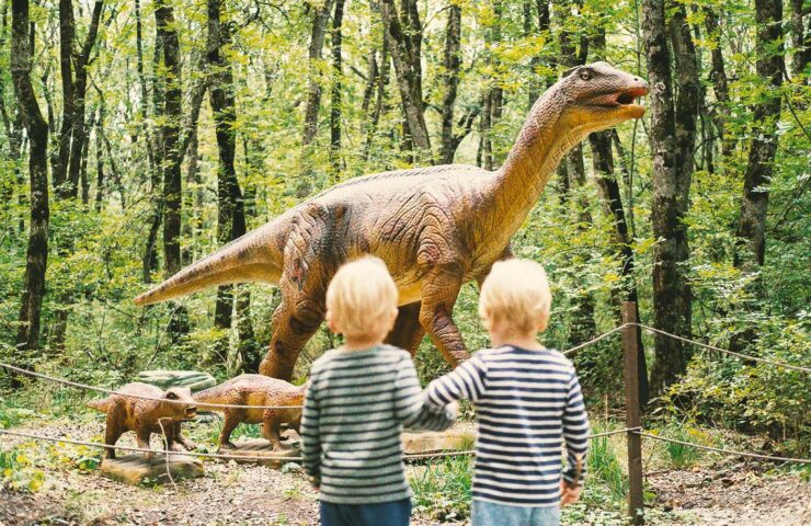 behind-view-two-kid-boys-walking-in-forest-at-dino-2025-01-10-00-17-46-utc
