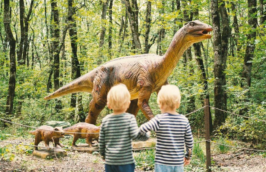 behind-view-two-kid-boys-walking-in-forest-at-dino-2025-01-10-00-17-46-utc