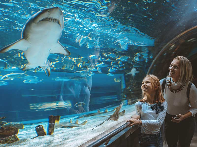 Aquarium-San-Sebastian