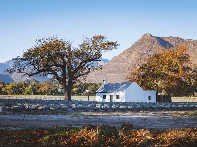 Franschhoek_South-Africa