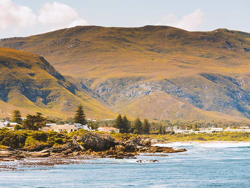 Hermanus_South-Africa