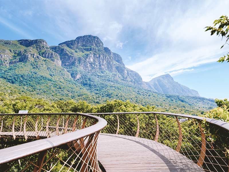 Kirstenbosch-Botanical-Garden_South-Africa