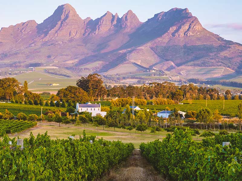 Stellenbosch_South-Africa