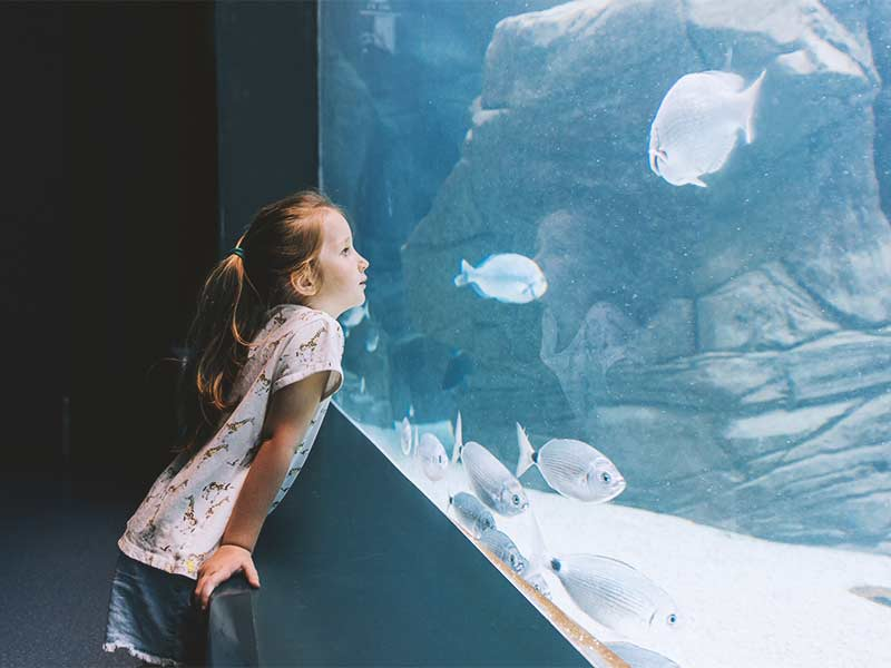 Two-Oceans-Aquarium_South-Africa