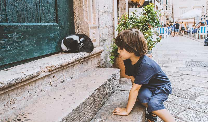 croatia_boy-cat_wide