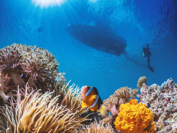 great-barrier-reef_australia