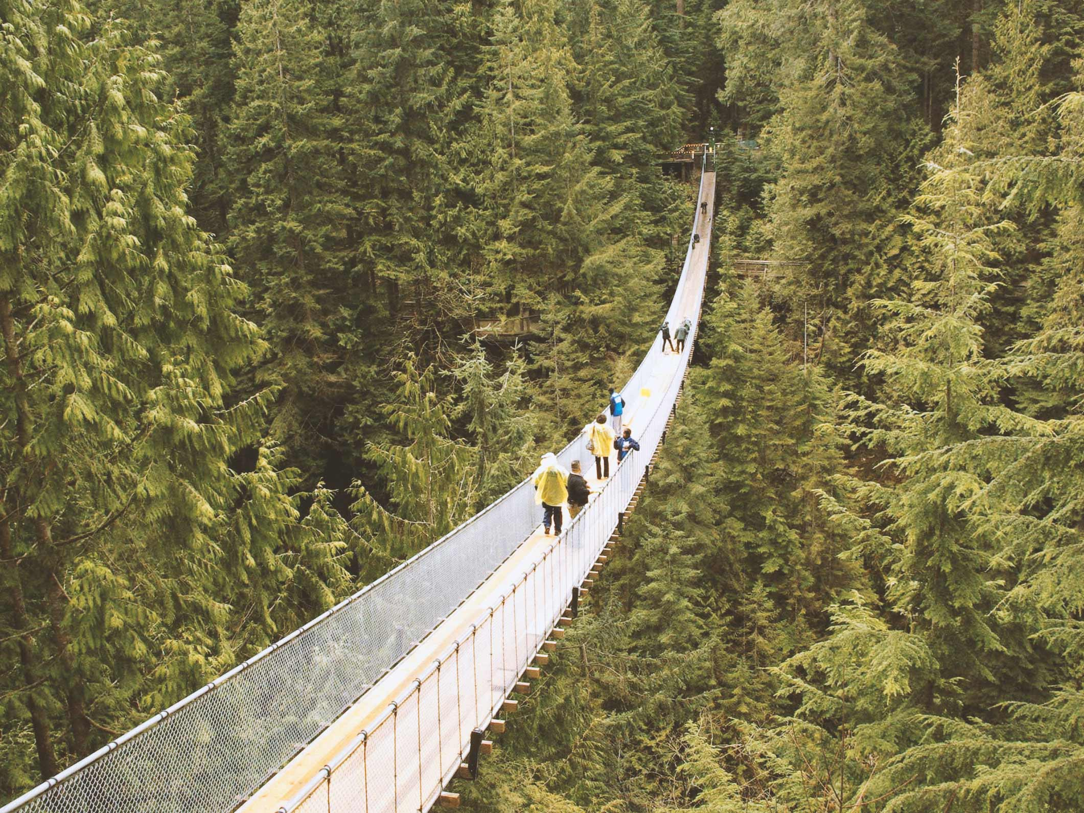 Canada_vancouver_capilano-suspension-bridge_02
