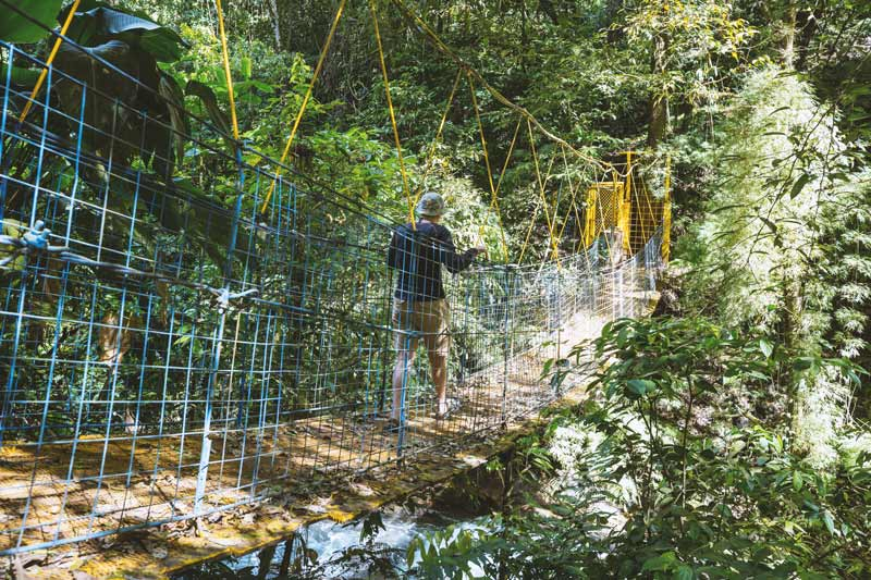 Costa-Rica_act_Mistico_Bridges