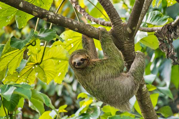 costa-rica_act_01.webp