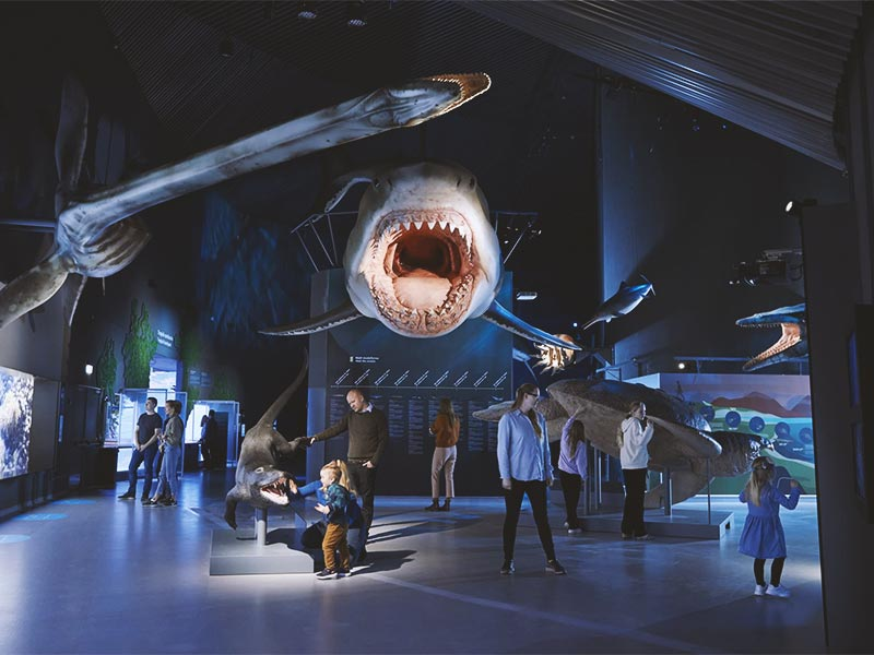 denmark_The-National-Aquarium-Denmark