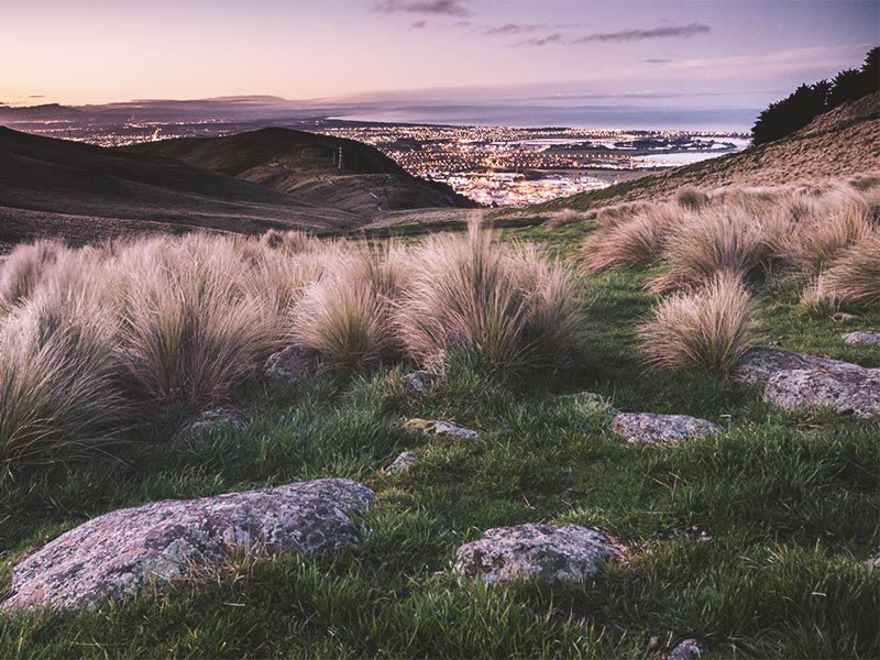 new-zealand_Christchurch