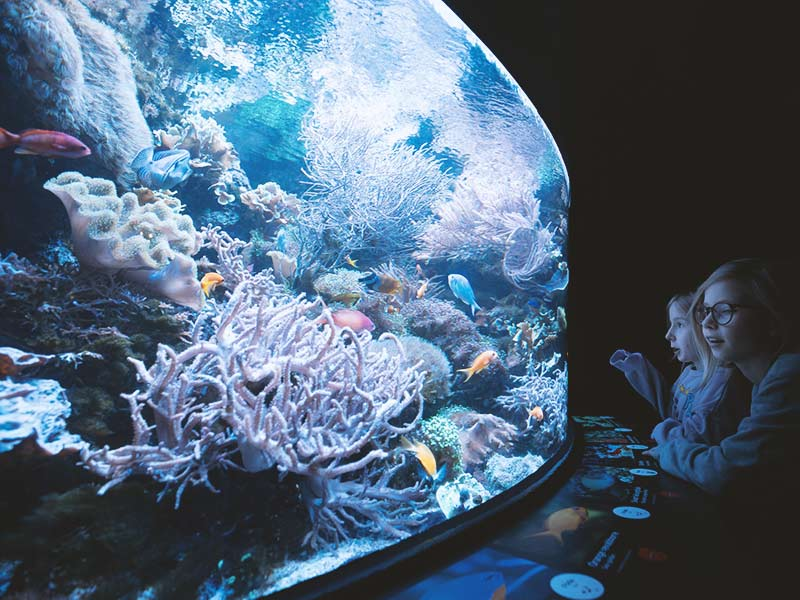 sweden_Universeum