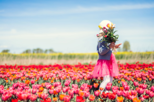 netherlands_mood_little-girl-picking-flowers-on-tulip-field