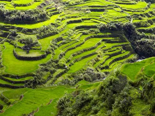 philippines_rice-terraces